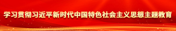 被搞在线看学习贯彻习近平新时代中国特色社会主义思想主题教育